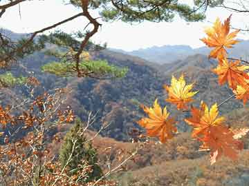 探索澳门彩票开奖结果，新澳门天天开奖结果第045期（含预测与解析）,2025新澳门天天开奖结果045期 21-33-34-40-42-44Q：12