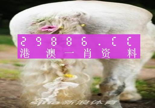 新澳门资料免费精准解析第127期——探索数字背后的奥秘,新奥门资料免费精准127期 02-03-09-26-28-33P：07