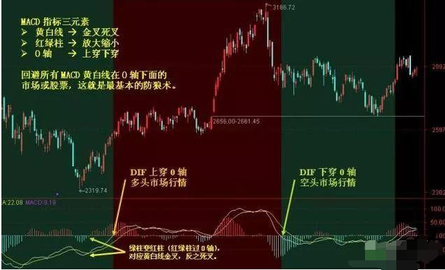 全新版跑狗图解析，探索数字背后的奥秘（第089期深度解析）,7777788888新版跑狗图解析089期 24-08-27-39-34-21T：16